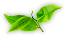 爱游戏赛程中心 - 体育赛事