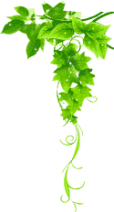 爱游戏赛程中心 - 体育赛事