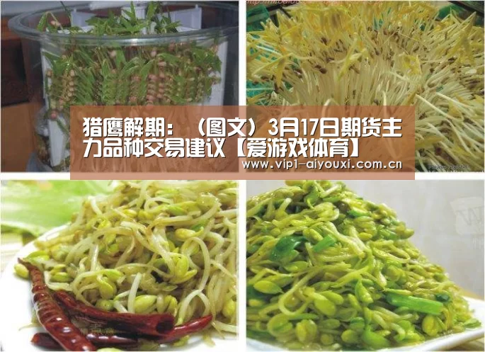 猎鹰解期：（图文）3月17日期货主力品种交易建议【爱游戏体育