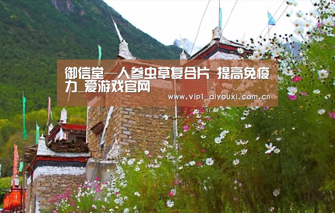 御信堂—人参虫草复合片 提高免疫力_爱游戏官网