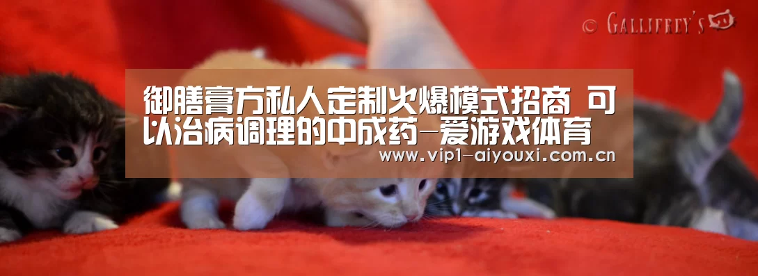 御膳膏方私人定制火爆模式招商 可以治病调理的中成药-爱游戏体育(图3) 爱游戏体育官网