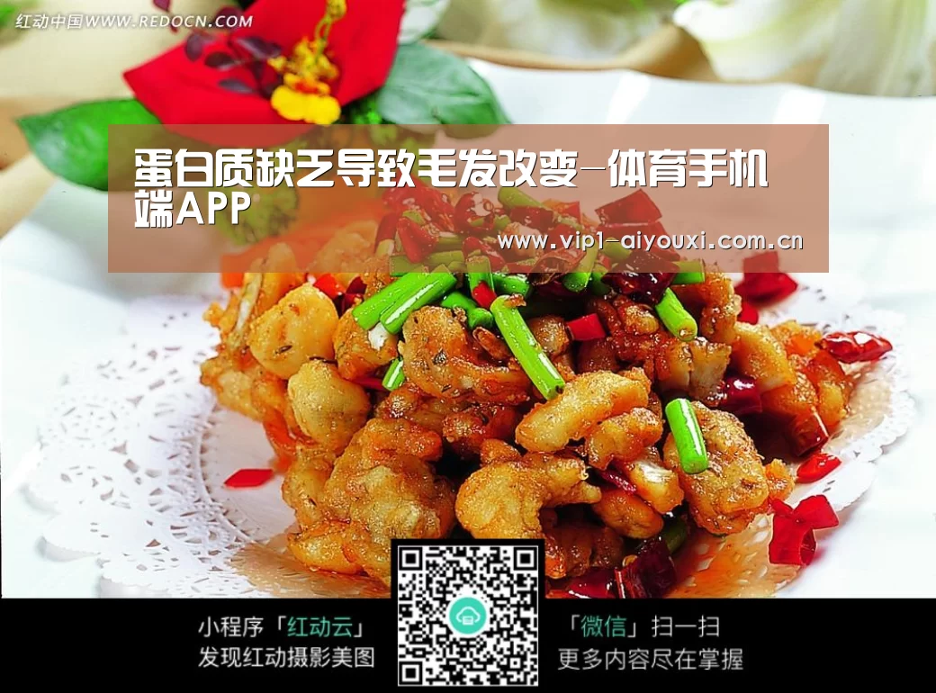 体育手机端APP
