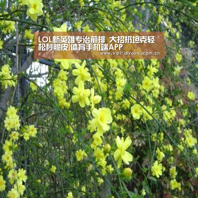 爱游戏官网