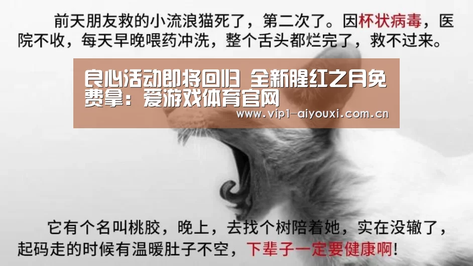 良心活动即将回归 全新腥红之月免费拿：爱游戏体育官网