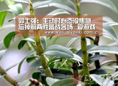 体育手机端APP
