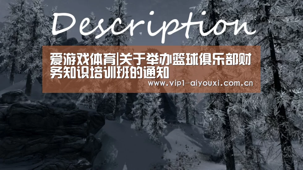 爱游戏体育|关于举办篮球俱乐部财务知识培训班的通知(图4) 体育手机端APP