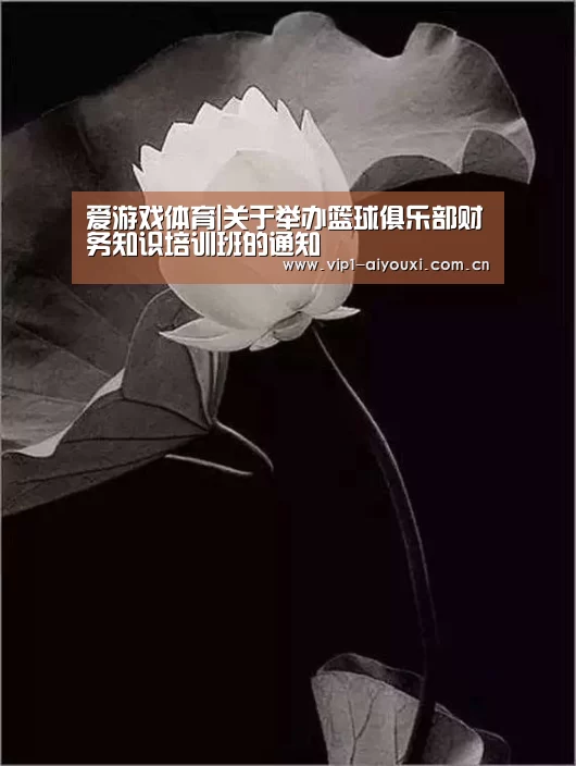 爱游戏体育|关于举办篮球俱乐部财务知识培训班的通知(图3) 爱游戏体育