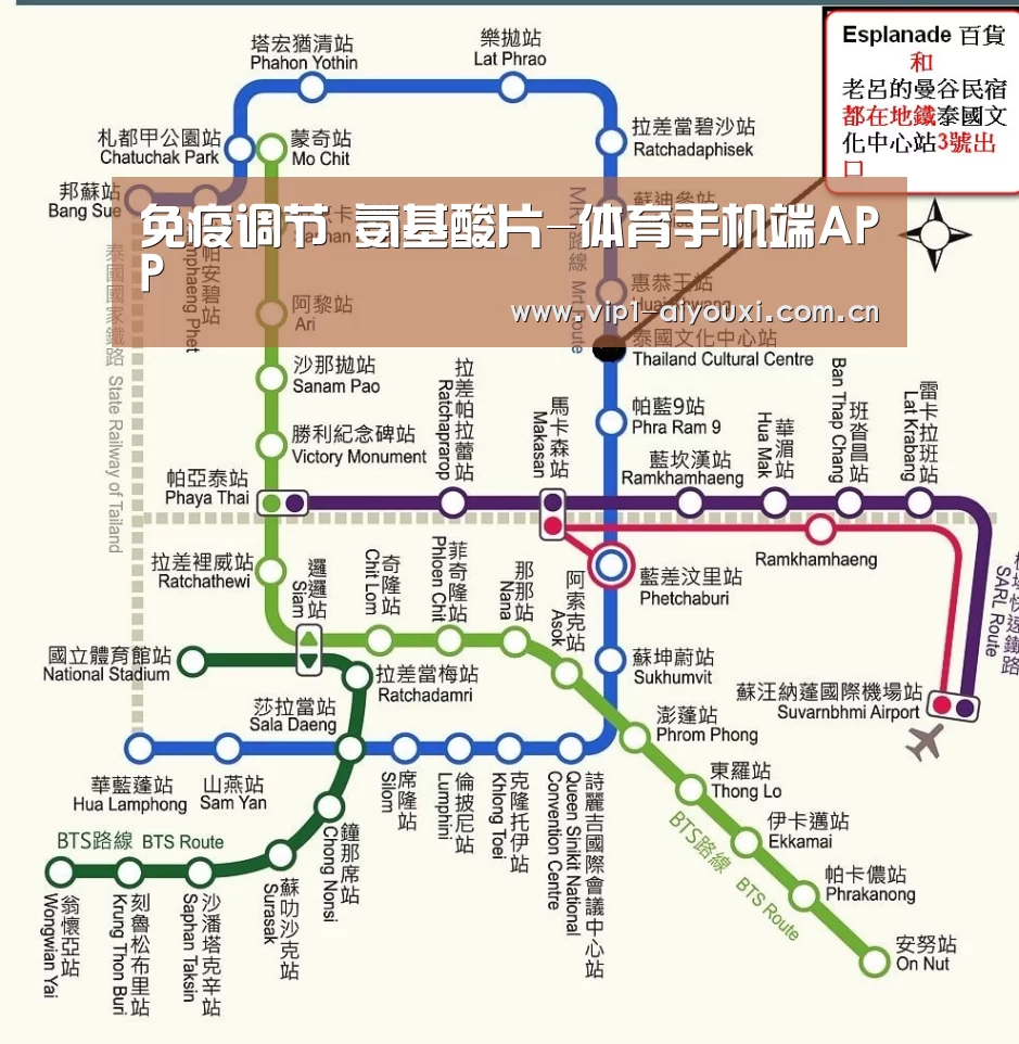 免疫调节 氨基酸片-体育手机端APP