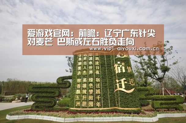 体育手机端APP
