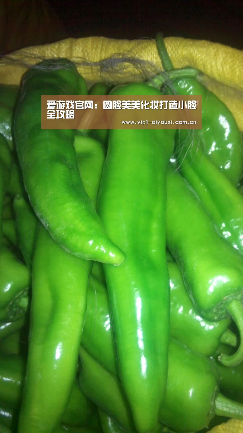 爱游戏官网:圆脸美美化妆打造小脸全攻略(图2) 爱游戏体育