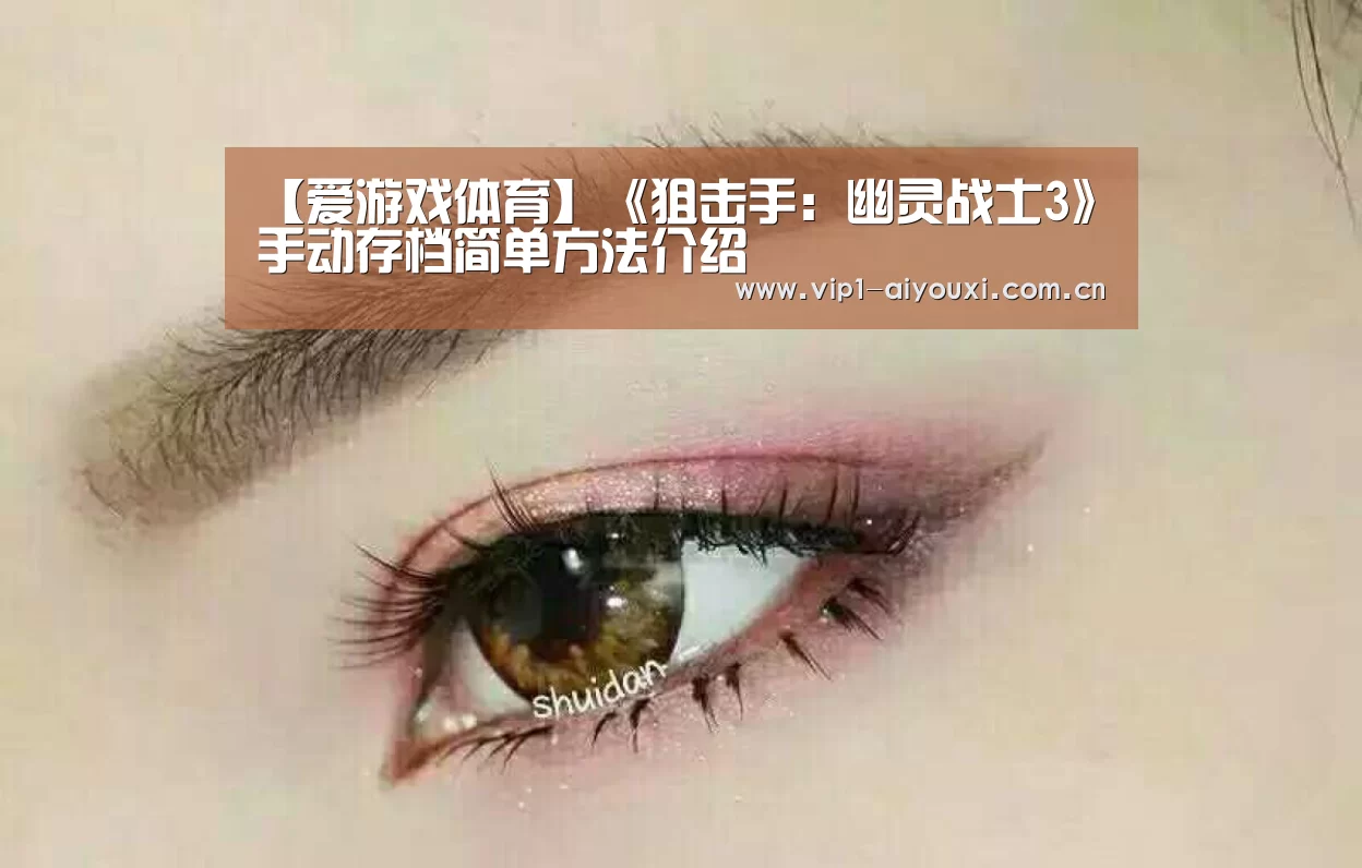 【爱游戏体育】《狙击手：幽灵战士3》手动存档简单方法介绍