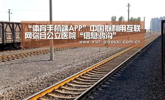 体育手机端APP