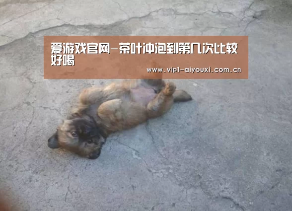 爱游戏官网-茶叶冲泡到第几次比较好喝